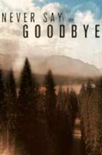 Watch Never Say Goodbye Myflixer