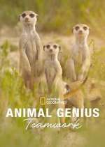 Watch Animal Genius Myflixer