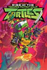 Watch Rise of the Teenage Mutant Ninja Turtles Myflixer
