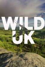 Watch Wild UK Myflixer