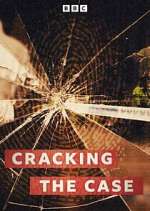 Watch Cracking the Case Myflixer