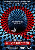 Watch Q: Into the Storm Myflixer