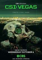 Watch CSI: Vegas Myflixer