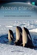 Watch Frozen Planet Myflixer