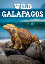 Watch Wild Galapagos Myflixer
