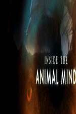 Watch Inside the Animal Mind Myflixer