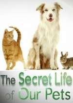 Watch The Secret Life of Our Pets Myflixer