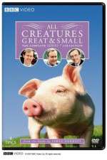 Watch All Creatures Great and Small Myflixer