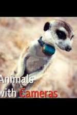 Watch Animals with Cameras Myflixer