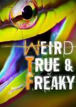 Watch Weird, True & Freaky Myflixer
