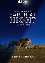 Watch Earth At Night In Color Myflixer