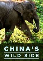 Watch China's Wild Side Myflixer