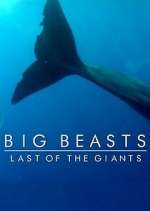 Watch Big Beasts: Last of the Giants Myflixer