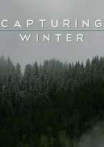 Watch Capturing Winter Myflixer