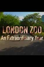 Watch London Zoo: An Extraordinary Year Myflixer