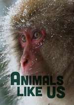 Watch Animals Like Us Myflixer