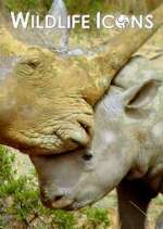 Watch Wildlife Icons Myflixer