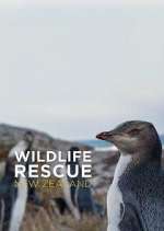 Watch Wildlife Rescue New Zealand Myflixer