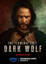 Watch The Terminal List: Dark Wolf Myflixer