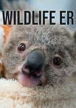 Watch Wildlife ER Myflixer