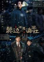 Watch Winter Begonia Myflixer