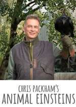 Watch Chris Packham's Animal Einsteins Myflixer