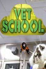 Watch Vet School Myflixer