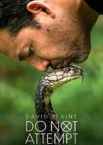 Watch David Blaine Do Not Attempt Myflixer