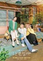 Watch The Good Bad Mother Myflixer