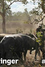 Watch Outback Ringer Myflixer