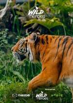 Watch Wild Heroes Myflixer