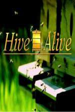 Watch Hive Alive Myflixer