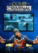 Watch So Dumb It's Criminal Myflixer
