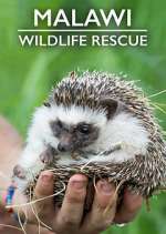 Watch Malawi Wildlife Rescue Myflixer