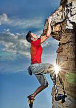 Watch Fight to Survive Myflixer