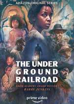 Watch The Underground Railroad Myflixer