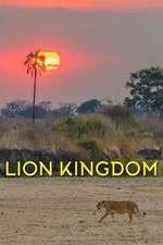 Watch Lion Kingdom Myflixer