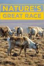 Watch Nature's Great Race Myflixer