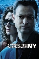 Watch CSI: NY / New York Myflixer