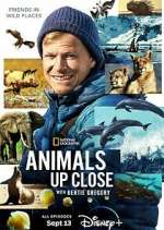 Watch Animals Up Close with Bertie Gregory Myflixer