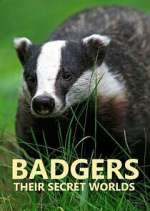 Watch Badgers: Their Secret Worlds Myflixer
