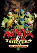 Watch Ninja Turtles: The Next Mutation Myflixer