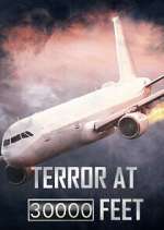 Watch Terror at 30,000 Feet Myflixer