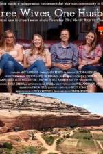 Watch Three Wives One Husband Myflixer