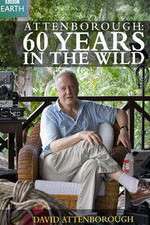 Watch Attenborough 60 Years in the Wild Myflixer