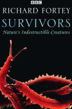 Watch Survivors: Nature's Indestructible Creatures Myflixer