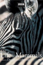 Watch The Life of Mammals Myflixer