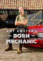 Watch Ant Anstead: Born Mechanic Myflixer