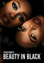 Watch Tyler Perry\'s Beauty in Black Myflixer