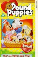 Watch Pound Puppies Myflixer